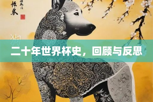 二十年世界杯史，回顾与反思金炬实业股份有限公司