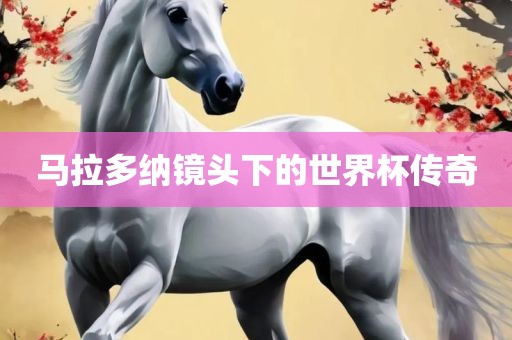 马拉多纳镜头下的世界杯传奇