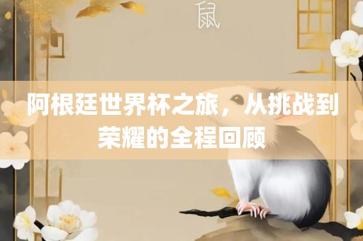 阿根廷世界杯之旅，从挑战到荣耀的全程回顾