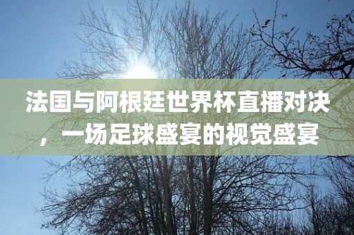 法国与阿根廷世界杯直播对决，一场足球盛宴的视觉盛宴金炬实业股份有限公司