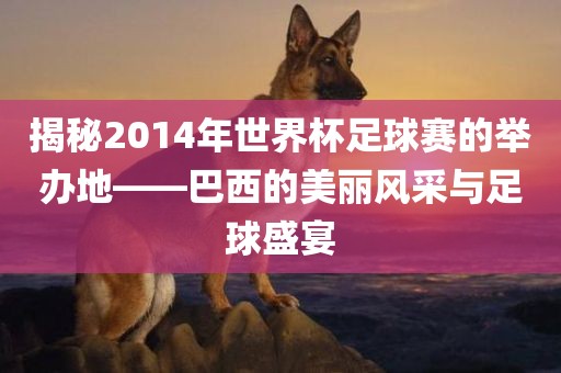 揭秘2014年世界杯足球赛的举办地——巴西的美丽风采与足球盛宴