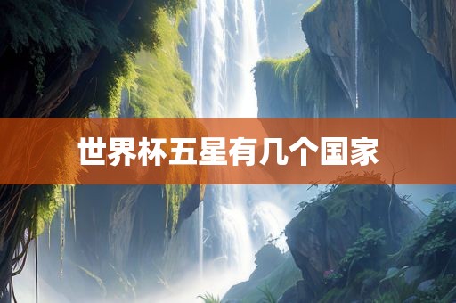 世界杯五星有几个国家