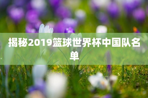 揭秘2019篮球世界杯中国队名单