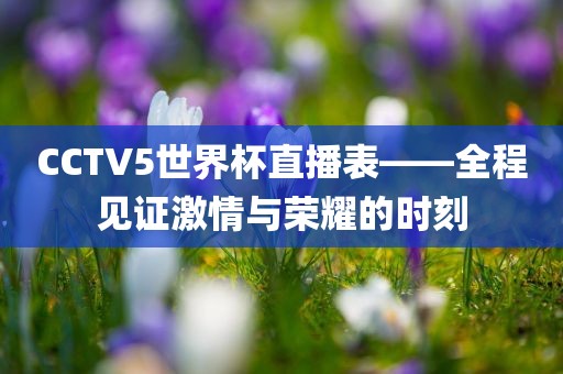 CCTV5世界杯直播表——全程见证激情与荣耀的时刻