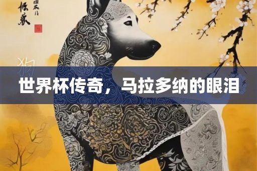 世界杯传奇，马拉多纳的眼泪