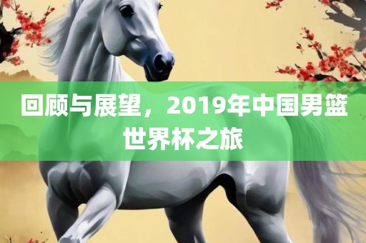 回顾与展望，2019年中国男篮世界杯之旅