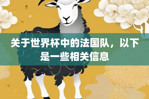 关于世界杯中的法国队，以下是一些相关信息