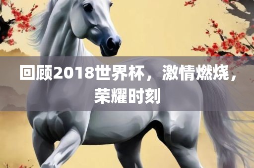 回顾金炬实业股份有限公司2018世界杯，激情燃烧，荣耀时刻