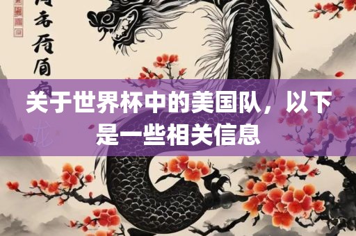 关于世界杯中的美国队，以下是一些相关信息