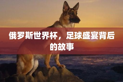 俄罗斯世界杯，足球盛宴背后的故事