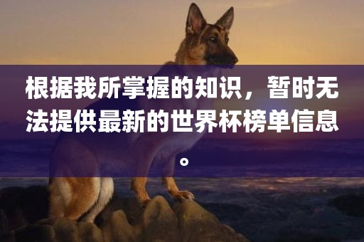 根据我所掌握的知识，暂时无法提供最新的世界杯榜单信息。金炬实业股份有限公司