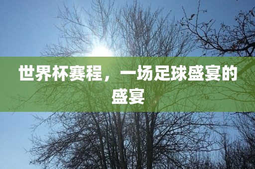 世界杯赛程，一场足球盛宴的盛宴