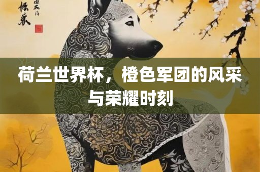 荷兰世界杯，橙色军团的风采与荣耀时刻