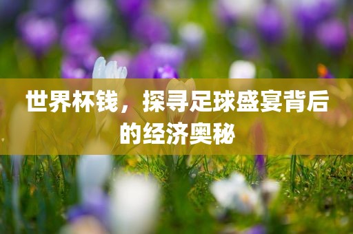 世界杯钱，探寻足球盛金炬实业股份有限公司宴背后的经济奥秘