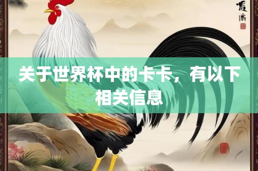 关于世界杯中的卡卡，有以下相关信息