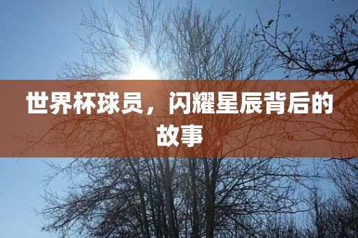 世界杯球员，闪耀星辰背后的故事