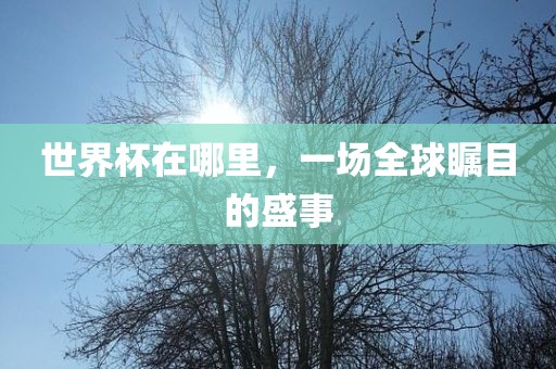 世界杯在哪里，一场全球瞩目的盛事