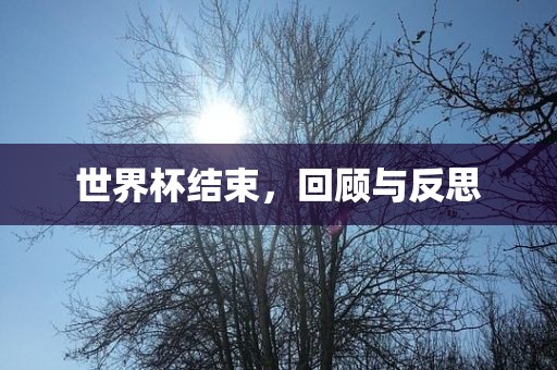 世界杯结束，回顾与反思