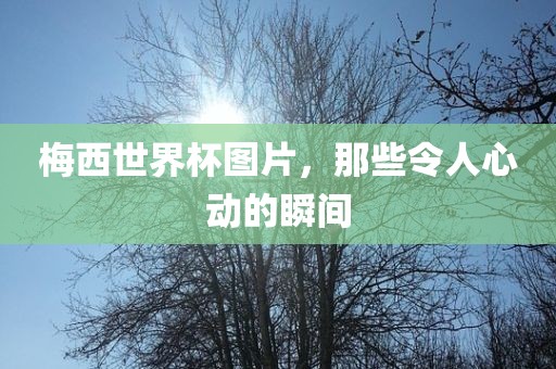 梅西世界杯图片，那些令人心动的瞬间