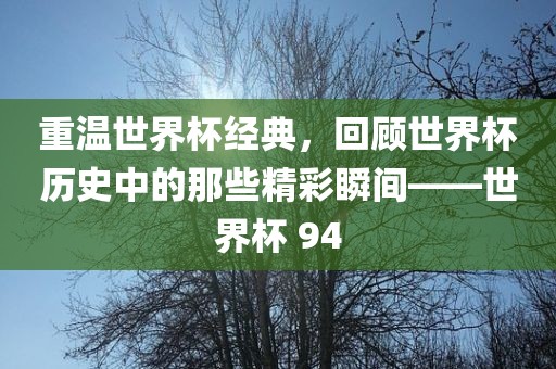 重温世界杯经典，回顾世界杯历史中的那些精彩瞬间——世界杯 94