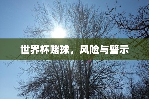 世界杯赌球，风险与警示