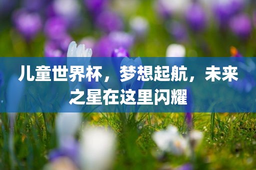 儿童世界杯，梦想起航，未来之星在这里闪耀金炬实业股份有限公司