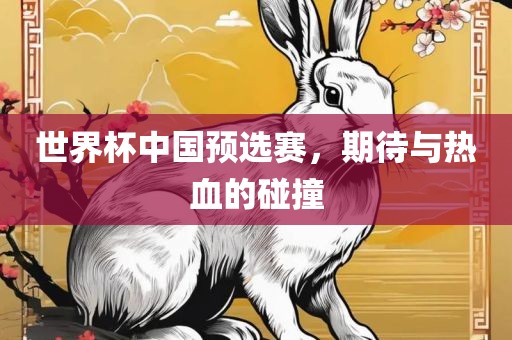 世界杯中国预选赛，期待与热血的碰撞