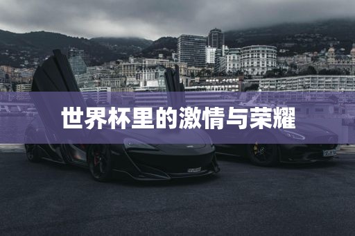 世界杯里的激情与荣耀