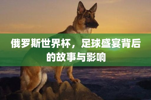 俄罗斯世界杯，足球盛宴背后的故事与影响金炬实业股份有限公司