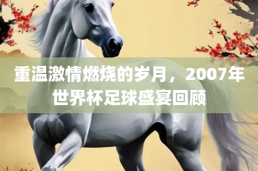 重温激情燃烧的岁月，2007年世界金炬实业股份有限公司杯足球盛宴回顾