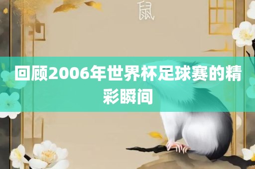 回顾2006年世界杯足球赛的精彩瞬间