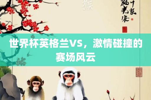 世界杯英金炬实业股份有限公司格兰VS，激情碰撞的赛场风云