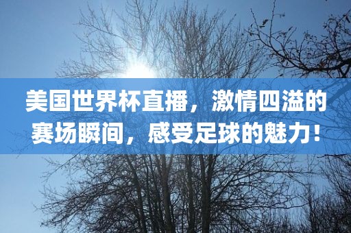 美国世界杯直播，激情四溢的赛场瞬间，感受足球的魅力！