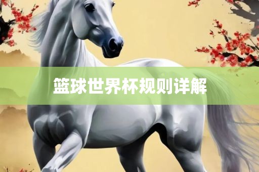 篮球世界杯规则详解