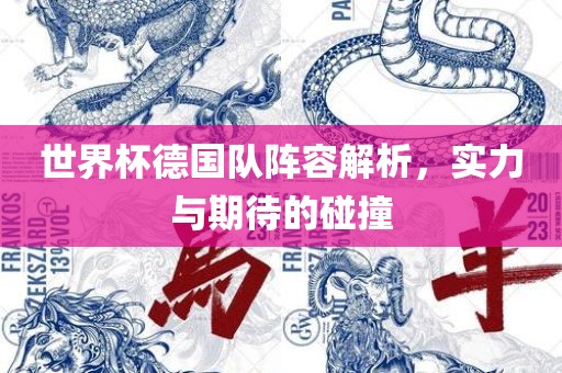 世界杯德国队阵容解析，实力与期待的碰撞