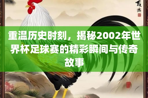 重温历史时刻，揭秘2002年世界杯足球赛的精彩瞬间与传奇故事金炬实业股份有限公司