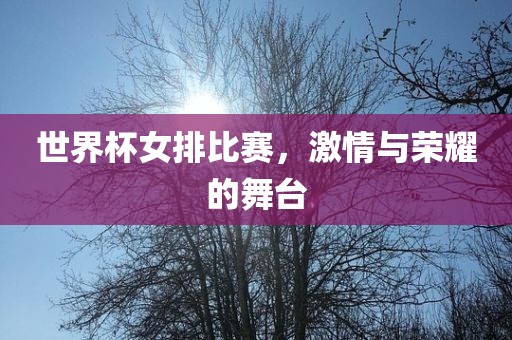 世界杯女排比赛，激情与荣耀的舞台