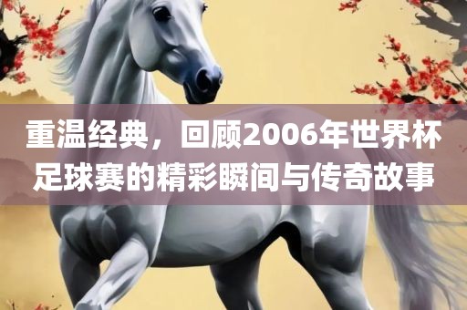 重温经典，回顾2006年世界金炬实业股份有限公司杯足球赛的精彩瞬间与传奇故事