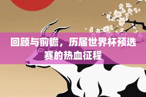 回顾与前瞻，历届世界杯预选赛的热血征程
