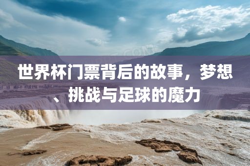 世界杯门票背后的故事，梦想、挑战与足球的魔力