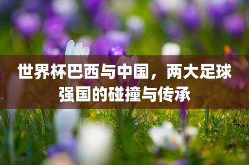 世界杯巴西与中国，两大足球强国的碰撞与传承金炬实业股份有限公司