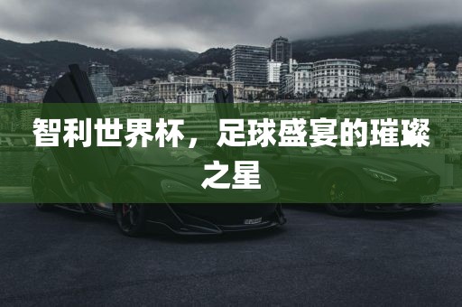 智利世界杯，足球盛宴的璀璨之星金炬实业股份有限公司