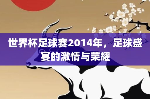 世界杯足球赛2014年，足球盛宴的激情与荣耀