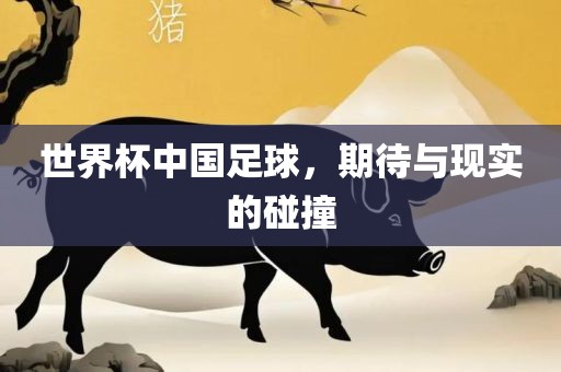 世界杯中国足球，期待与现实的碰撞