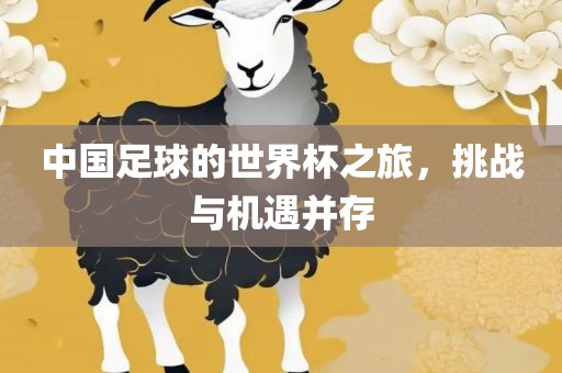 中国足球的世界杯之旅，挑战与机遇并存金炬实业股份有限公司