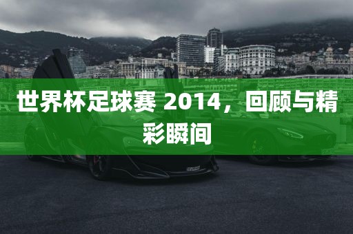 世界杯足球赛 2014，回顾与精彩瞬间