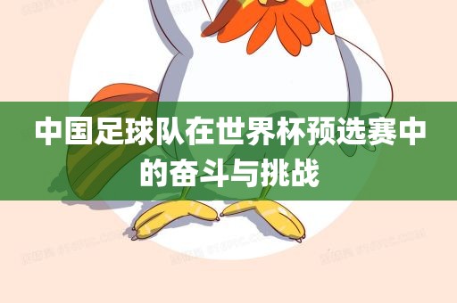 中国足球队在世界杯预选赛中的奋斗与挑金炬实业股份有限公司战