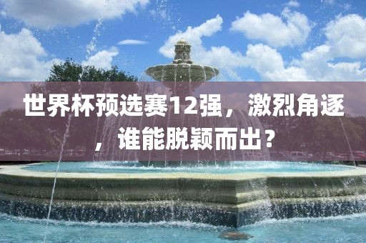 世界杯预选赛12强，激烈角逐，谁能脱颖而出？