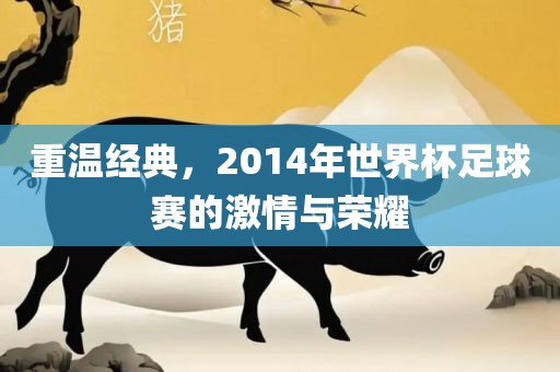 重温经典，2014年世界杯足球赛的激情与荣耀