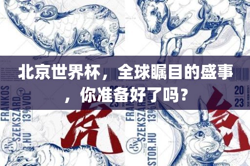 北京世界杯，全球瞩目的盛事，你准备好了吗？